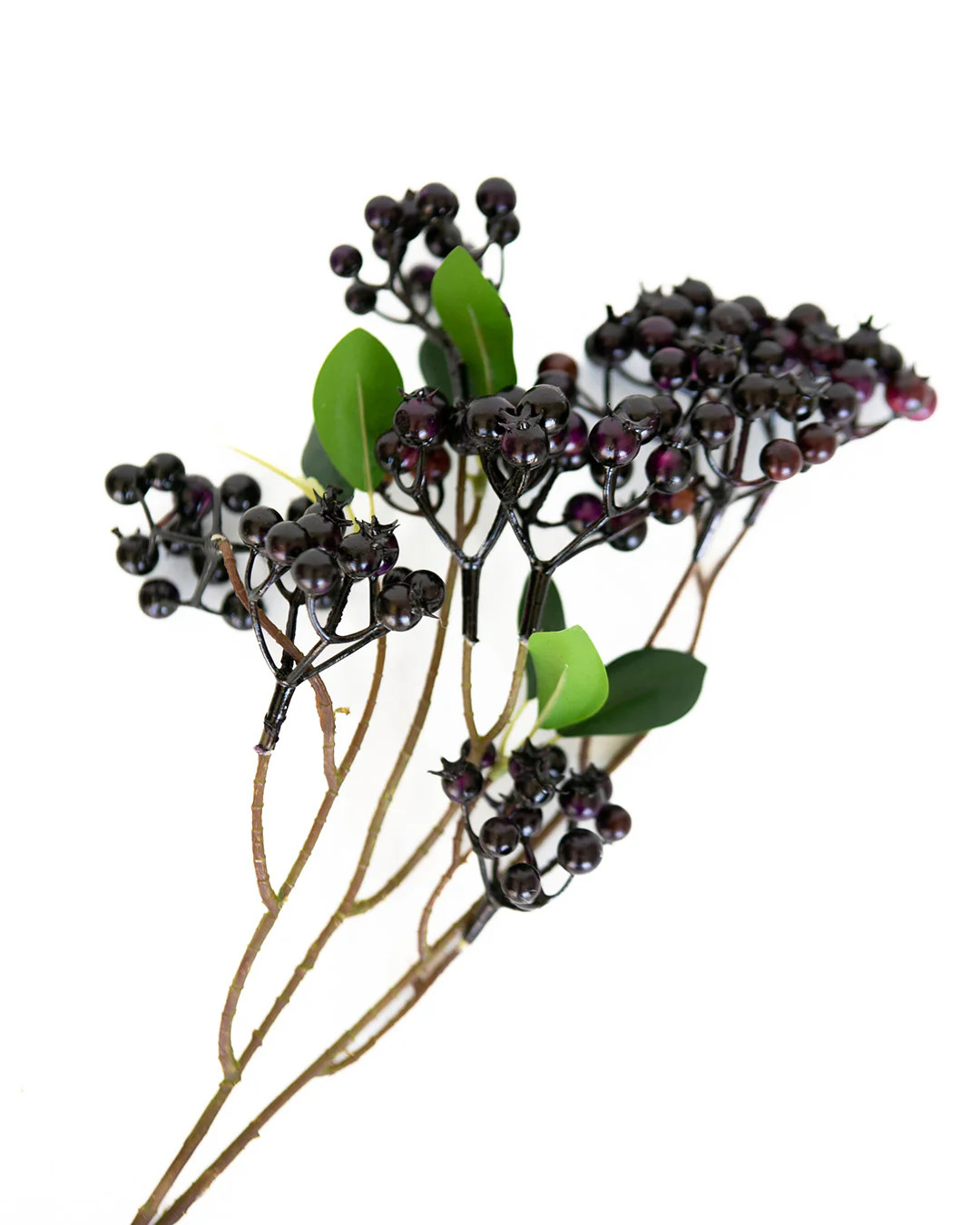 Plum Berry Stem 30" | Elements by Remedy