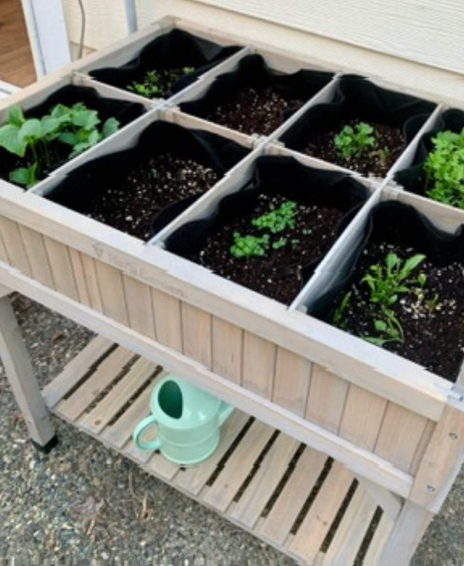 Gardening season is in full swing 🌱 These are some of my favorite planters for small gardens or larger backyards. We’re slowly planting more and more in the backyard, with raised beds, herb beds, and an indoor little table for my starters. 

Check out some of my favorites 💚✨

#LTKSeasonal #LTKHome #LTKFamily