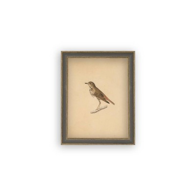 Petal Lane 7"x9" Bird Wall Art: Vintage Style Canvas, Framed in Gray Polystyrene, Earth Tone Multicolor Animal Artwork | Target