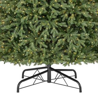 Home Accents Holiday 9 ft. Pre-Lit LED Jackson Noble Fir Artificial Christmas Tree T23 21WL10159 ... | The Home Depot