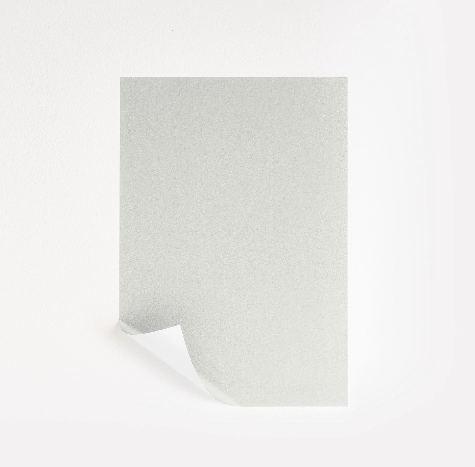 White  Paint Sample | Samplize
