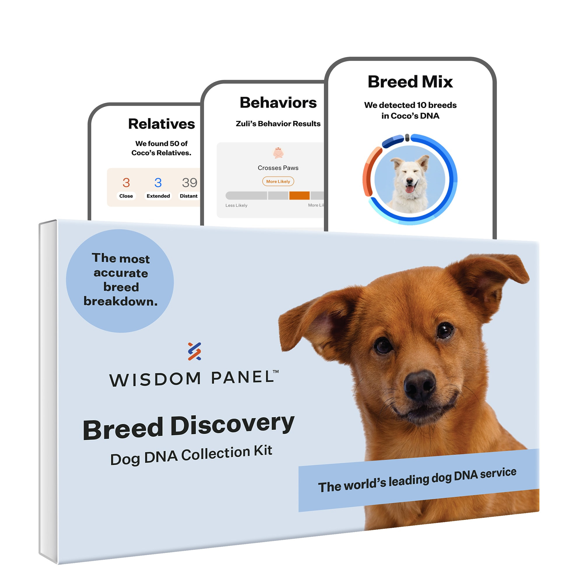 Wisdom Panel 3.0 Breed Identification Dog DNA Test Kit | Petco