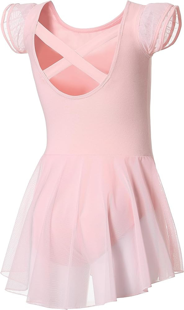 DIPUG Ballet Leotards for Girls Ballet Leotard with Skirt Toddler Dance Leotards Flutter Sleeve a... | Amazon (US)