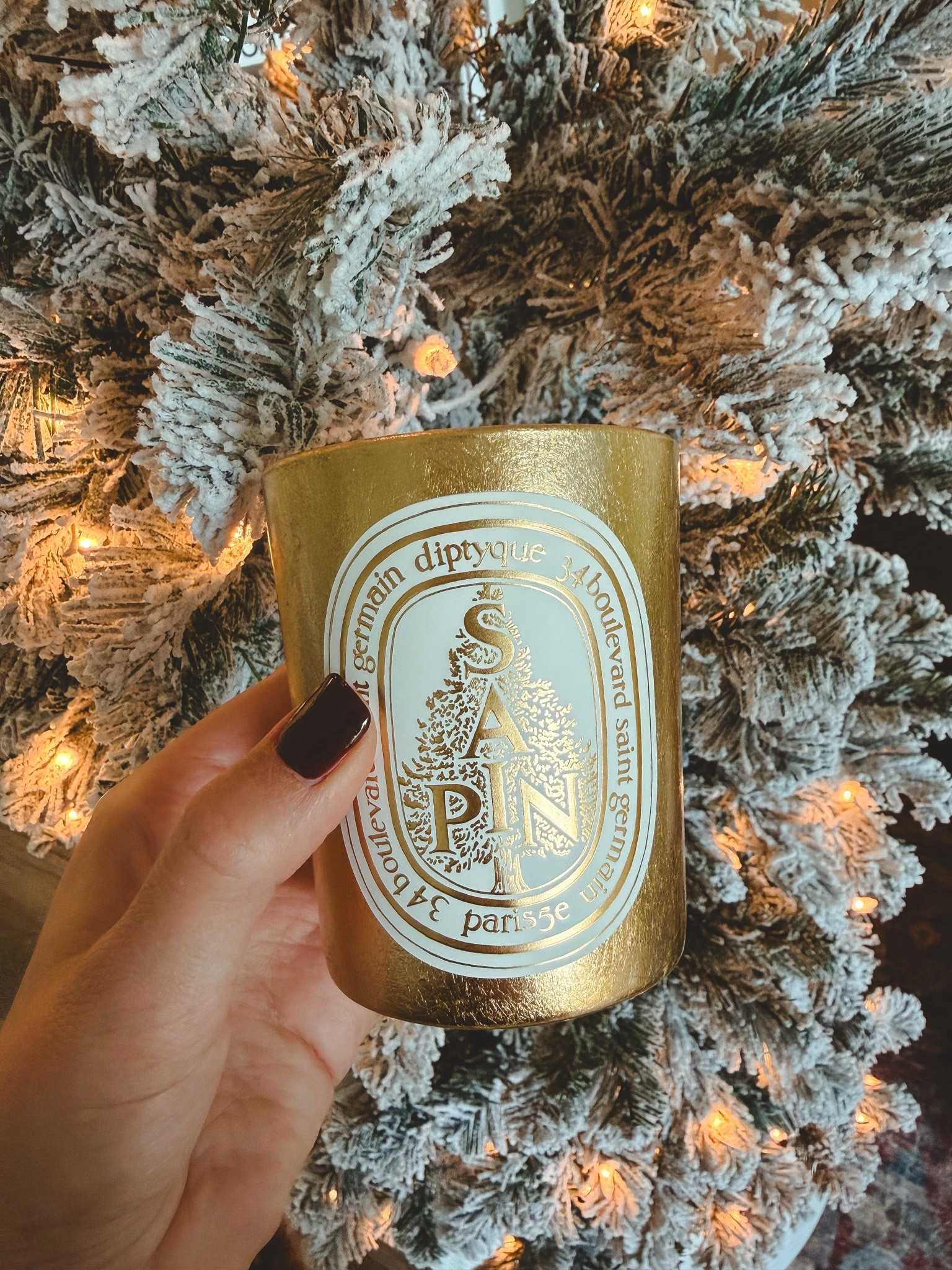 This diptyque candle smells incredible!!



#LTKSeasonal #LTKHome #LTKValentine
