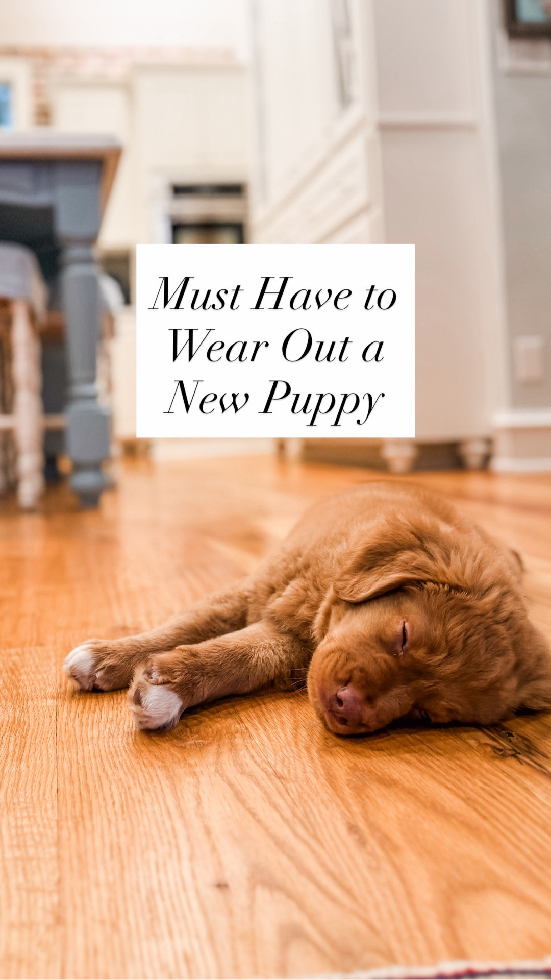A new puppy brings sooooo much joy!! They also have a HUGE need to be entertained, and with it being a busy last week of school, this puppy entertainment set my friend shared with me has proven to  be the BEST!!

#LTKHome #LTKdayinmylife #LTKActive