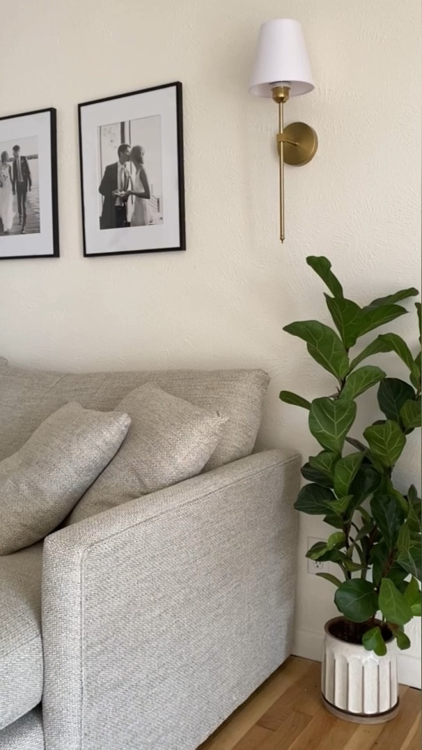 living room finally coming together ✨🪴 #homeinspo #minimalist #classic #neutral #decor #targetstyle 

#LTKhome