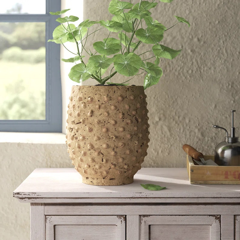 Birch Lane™ Cayson Pot Planter & Reviews | Wayfair | Wayfair North America