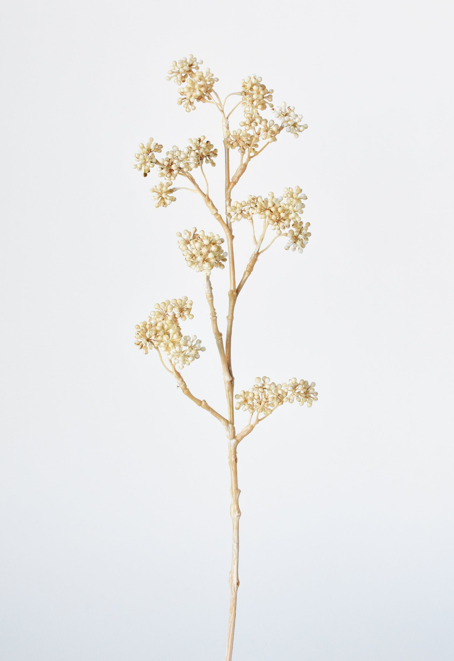 17" Faux Cream Sedum Spray Stem | HouseFloral
