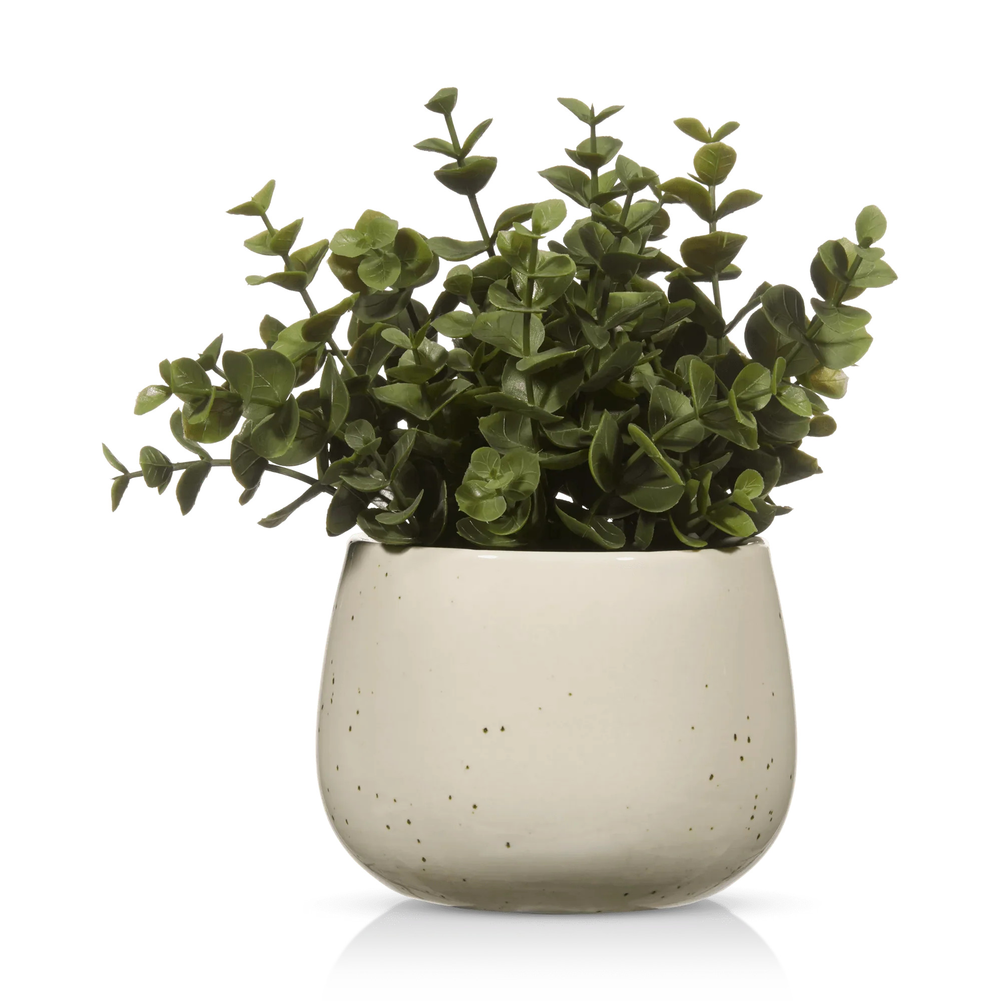 Artificial Plant in Beige Speckled Pot | Bouclair
