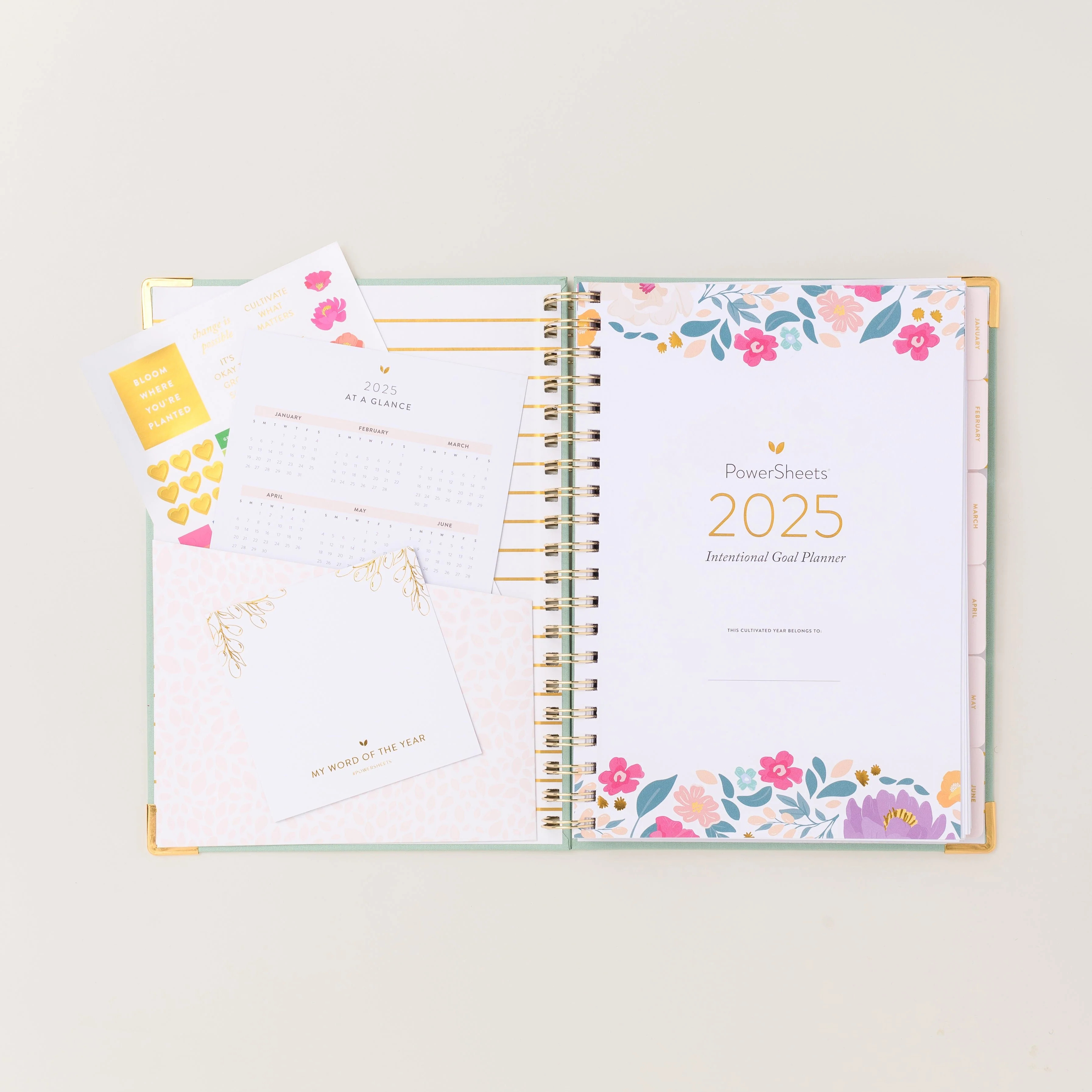 2025 One-Year PowerSheets® Goal Planner | Aloe | Cultivate What Matters