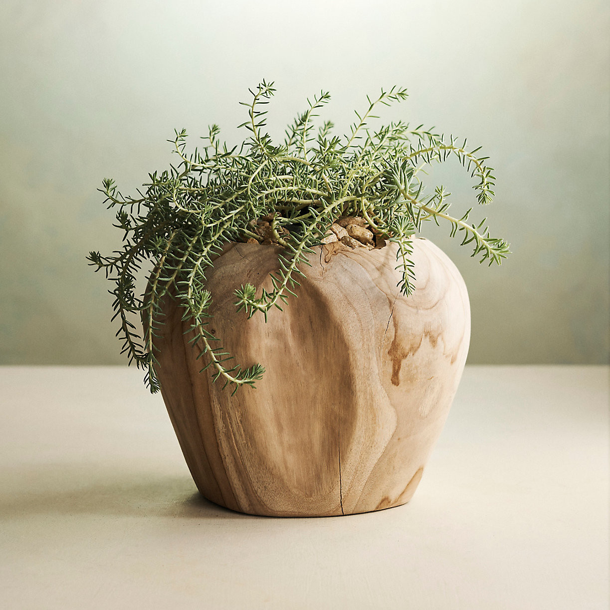 Teak Root Shoulder Planter | Terrain