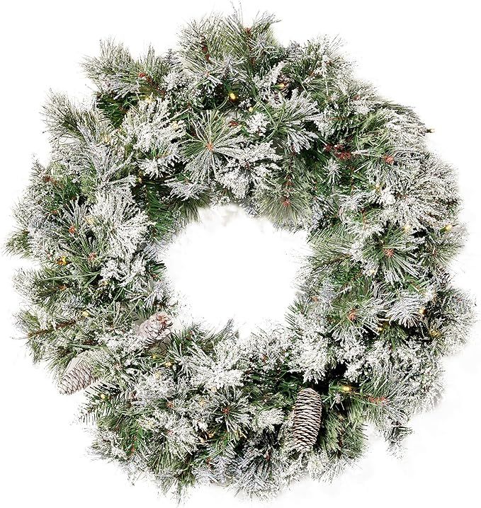 24" Mixed Spruce Christmas Wreath w/50 Warm White LED Lights, Flocked Snow and Glitter Branches, ... | Amazon (US)