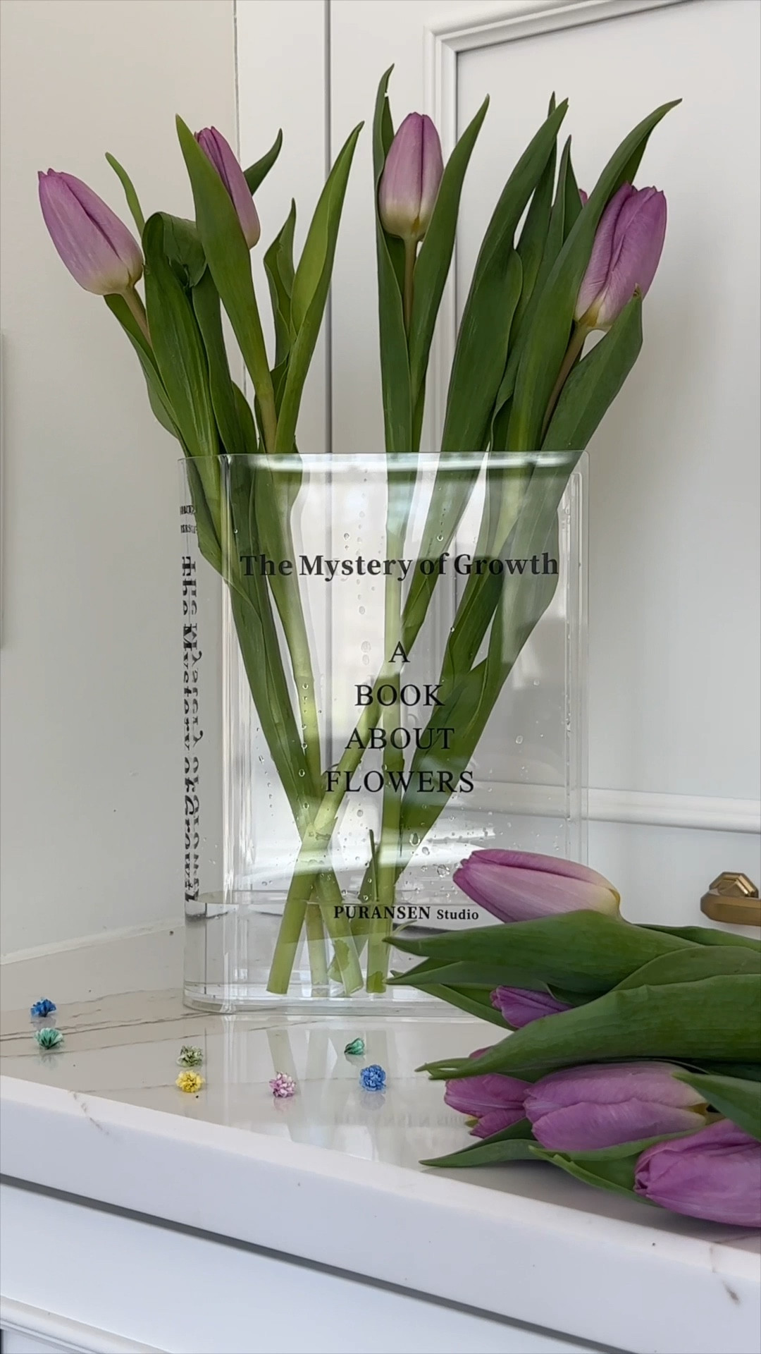 Puransen Book Vase for Flowers Aesthetic Room Decor, Artistic and Cultural Flavor Decorative Acrylic Vase, Unique Home/Bedroom/Office Accent, A Book