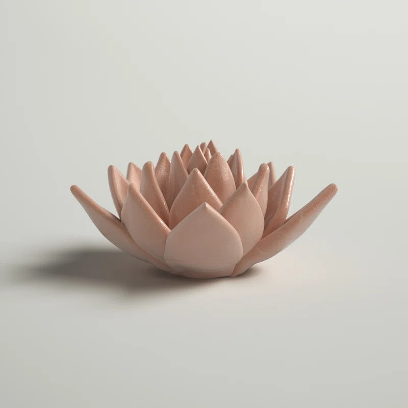 Andover Mills™ Kallas Pink Ceramic Succulent & Reviews | Wayfair | Wayfair North America