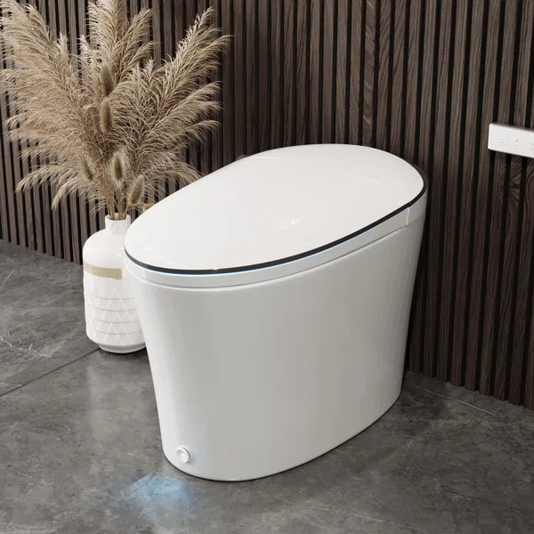 Smart Bidet Elongated Toilet, Auto Open & Close, Heated Seat, Wireless Remote Control, Premium | Wayfair North America