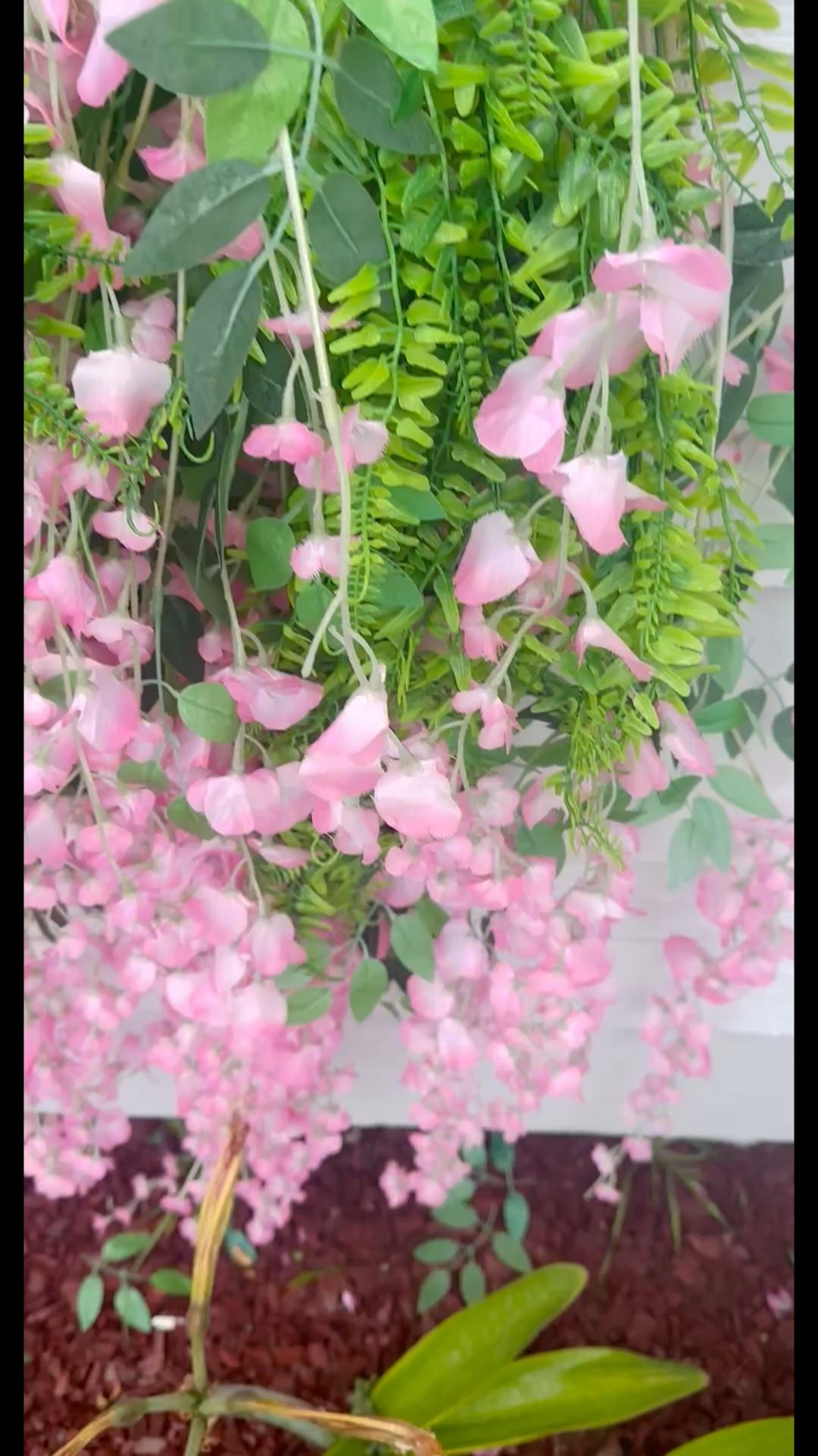
The resistant hanging flowers I got from Wayfair still look stunning after three months in the direct sunlight ! I love the low maintenance and the relaxed, real-life look. After the rain, they look even prettier! #wayday #homedecor #outdoors

#LTKSaleAlert #LTKGiftGuide #LTKHome