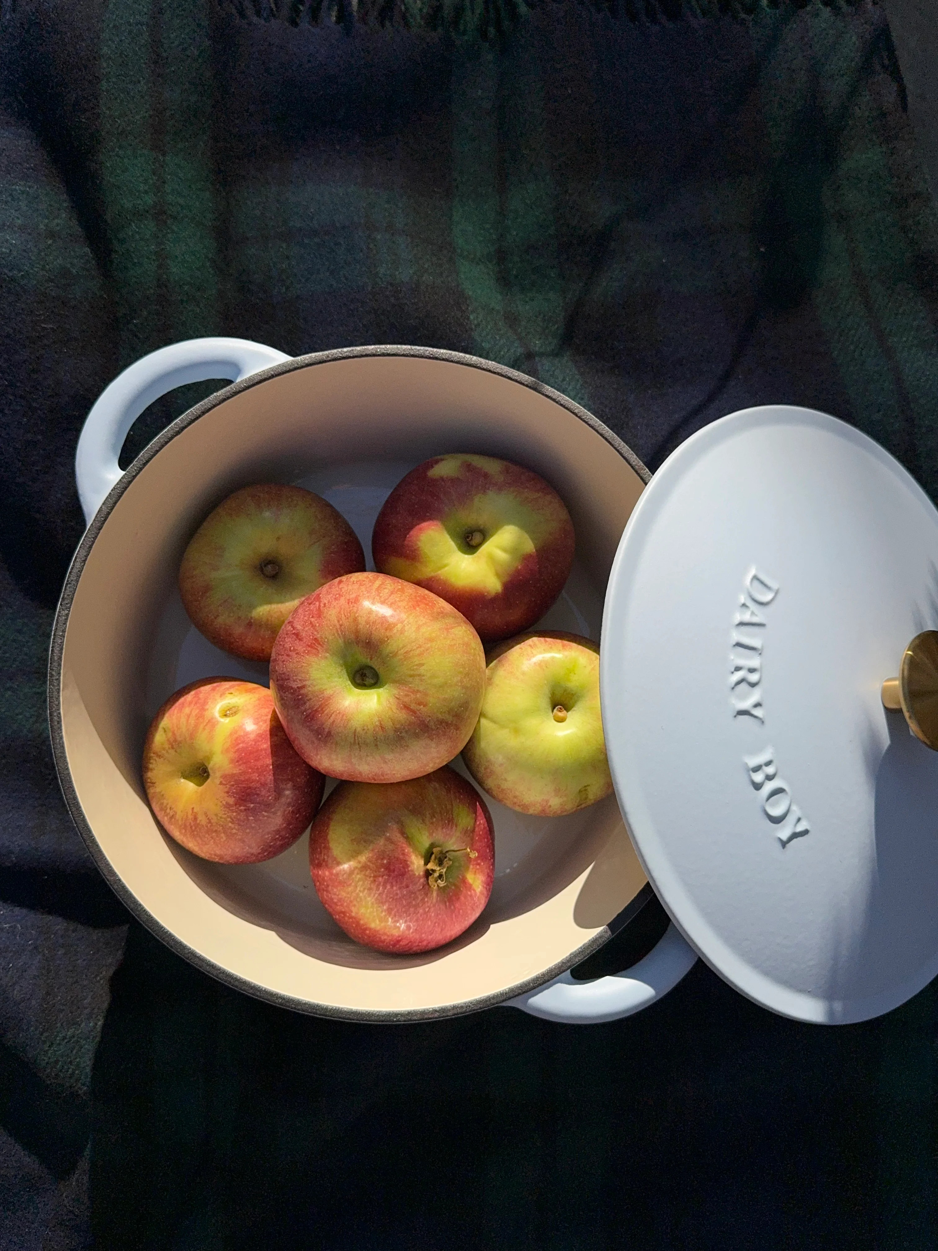 Cottage Dutch Oven - Sky | Dairy Boy