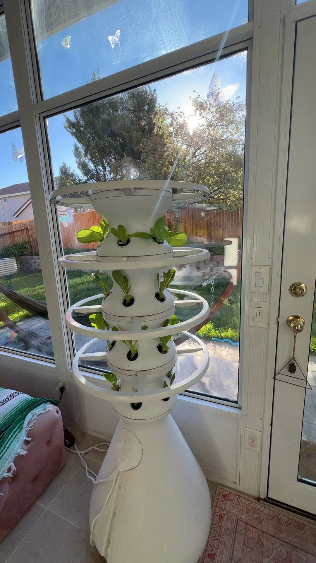 Just another happy day in the Jungle room 😊. @Lettuce Grow recently dropped their Spring Seedlings and keep adding more online! We’re going to clean out the taller tower soon and get some cherry tomatoes 😋 Can’t wait! 

You can use code “GROWKKGROW” for 15% off a lettuce grow tower! They’re wonderful gifts and Mother’s Day is coming up!!   

#healthy #familyrecipes #growyourownfood 

#LTKfoodie #LTKMothersDay #LTKSeasonal