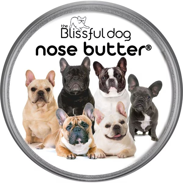 The Blissful Dog French Bulldog Nose Butter | Chewy.com