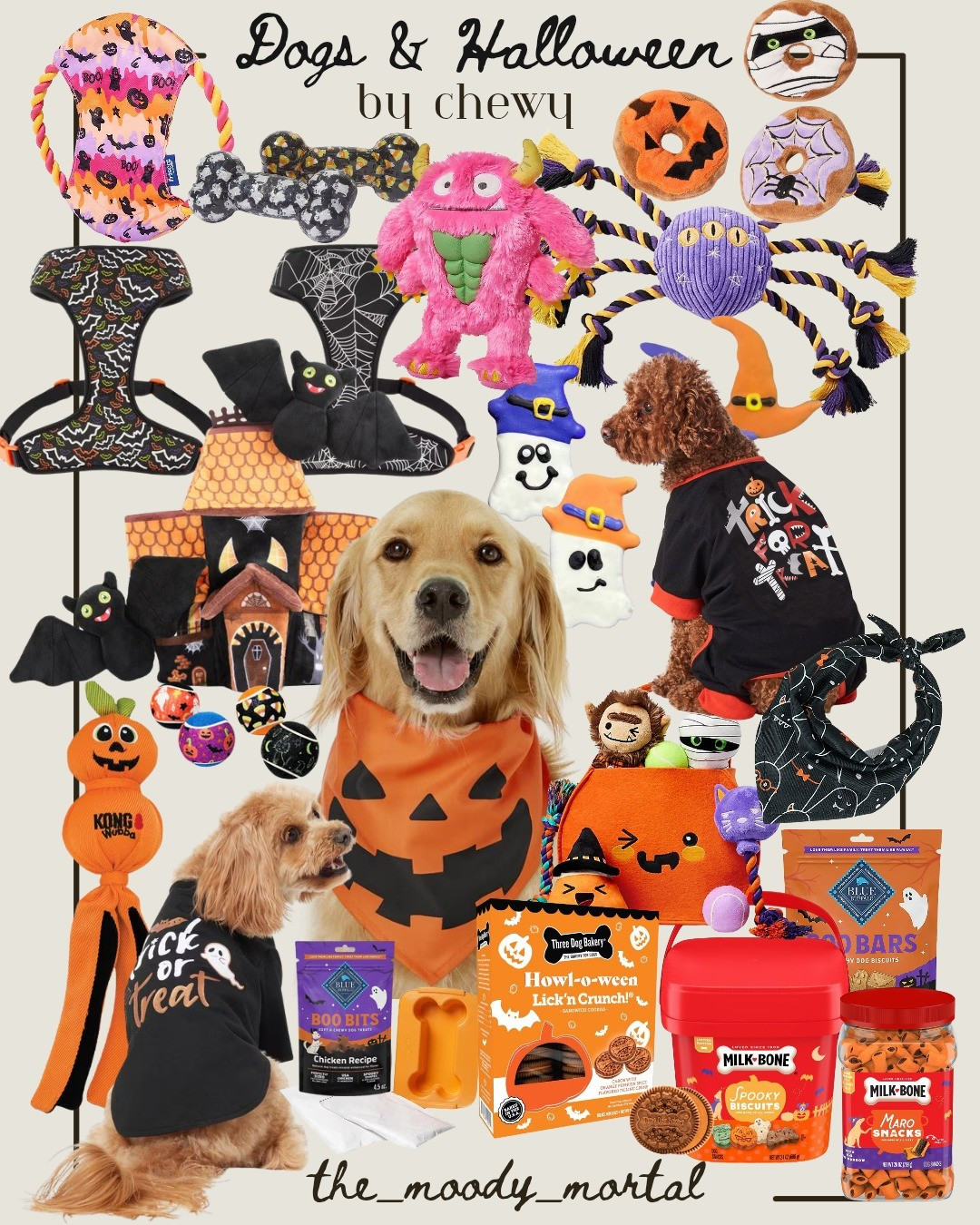 •• @chewy gets me every time 🎃✨️ #pets #halloween #dogs #doglover

#LTKSeasonal #LTKPets