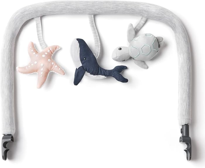 Ergobaby Evolve Bouncer Toy Bar Accessory for Infant and Toddler Play, Compatible with Ergobaby E... | Amazon (US)