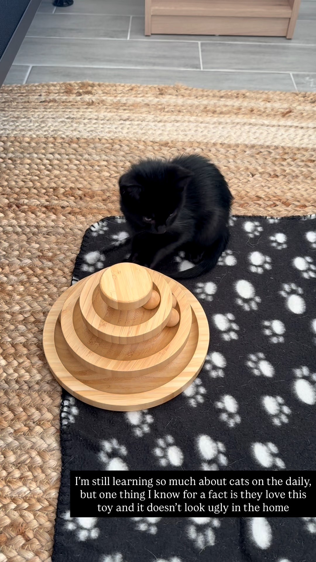 The cat toy both of my cats / kittens love!

#LTKFindsUnder50 #LTKHome #LTKGiftGuide