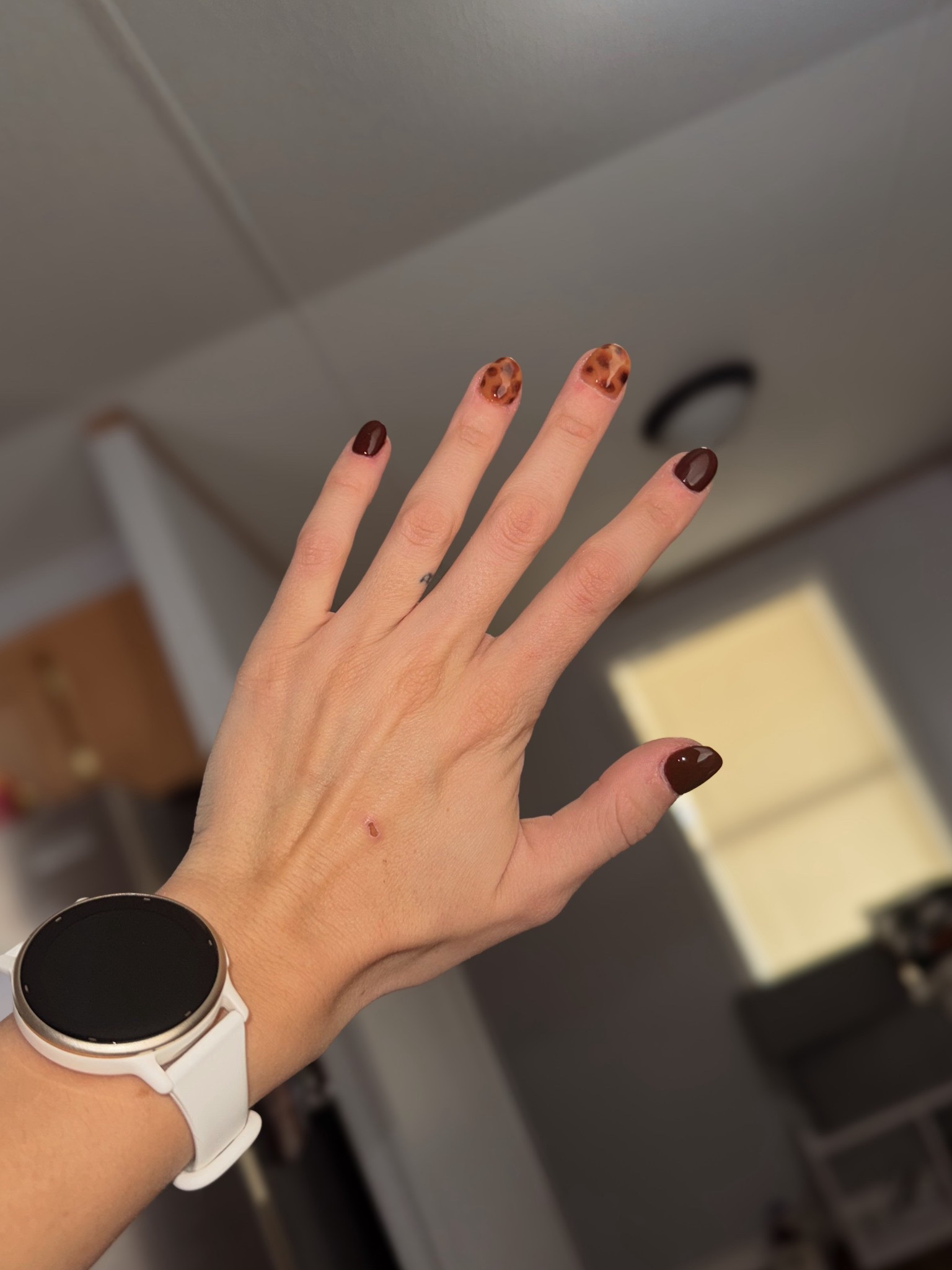 At home nails. DIY nails. Fall nails. Blooming gel. Gel manicure. Tortoise nails. Nail design. Inspo nail idea 

#LTKSeasonal #LTKBeauty #LTKU