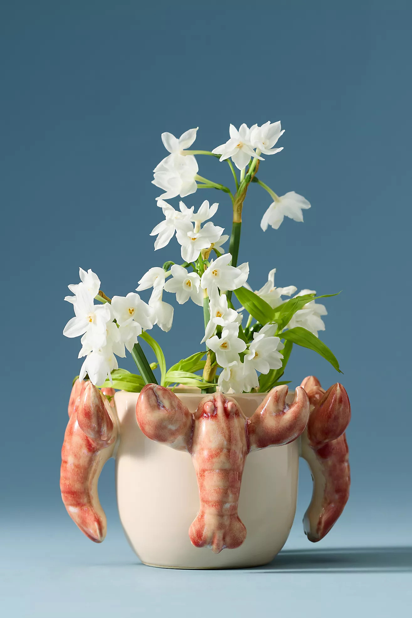 Stoneware Lobster Pot | Anthropologie (US)
