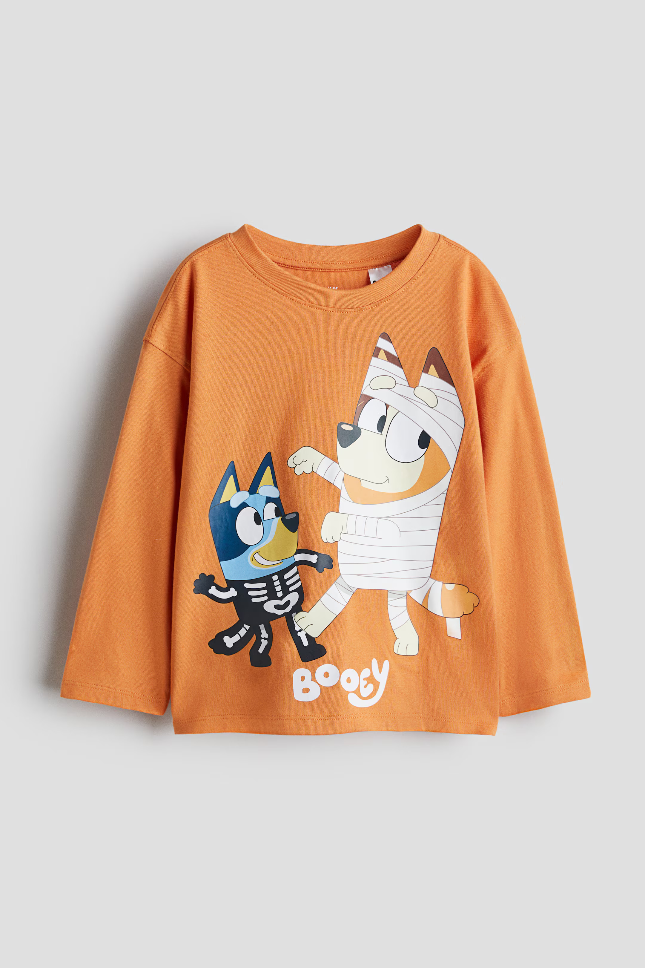 Long-Sleeved T-shirt | H&M (US + CA)