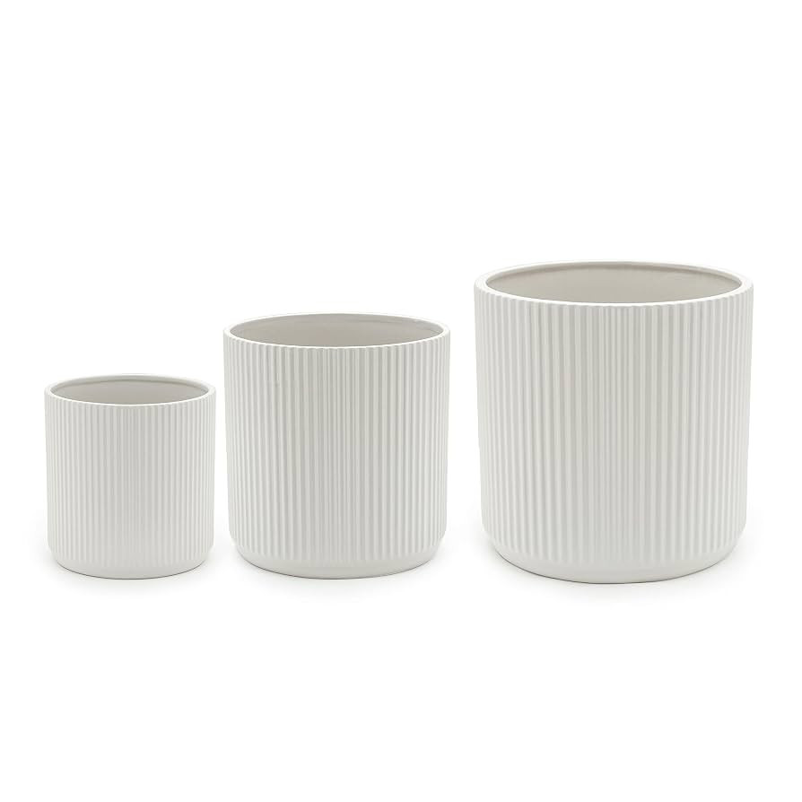 Amazon Basics Assorted Sizes Fluted Ceramic Round Indoor Outdoor Planters with Drainage, Set of 3... | Amazon (US)