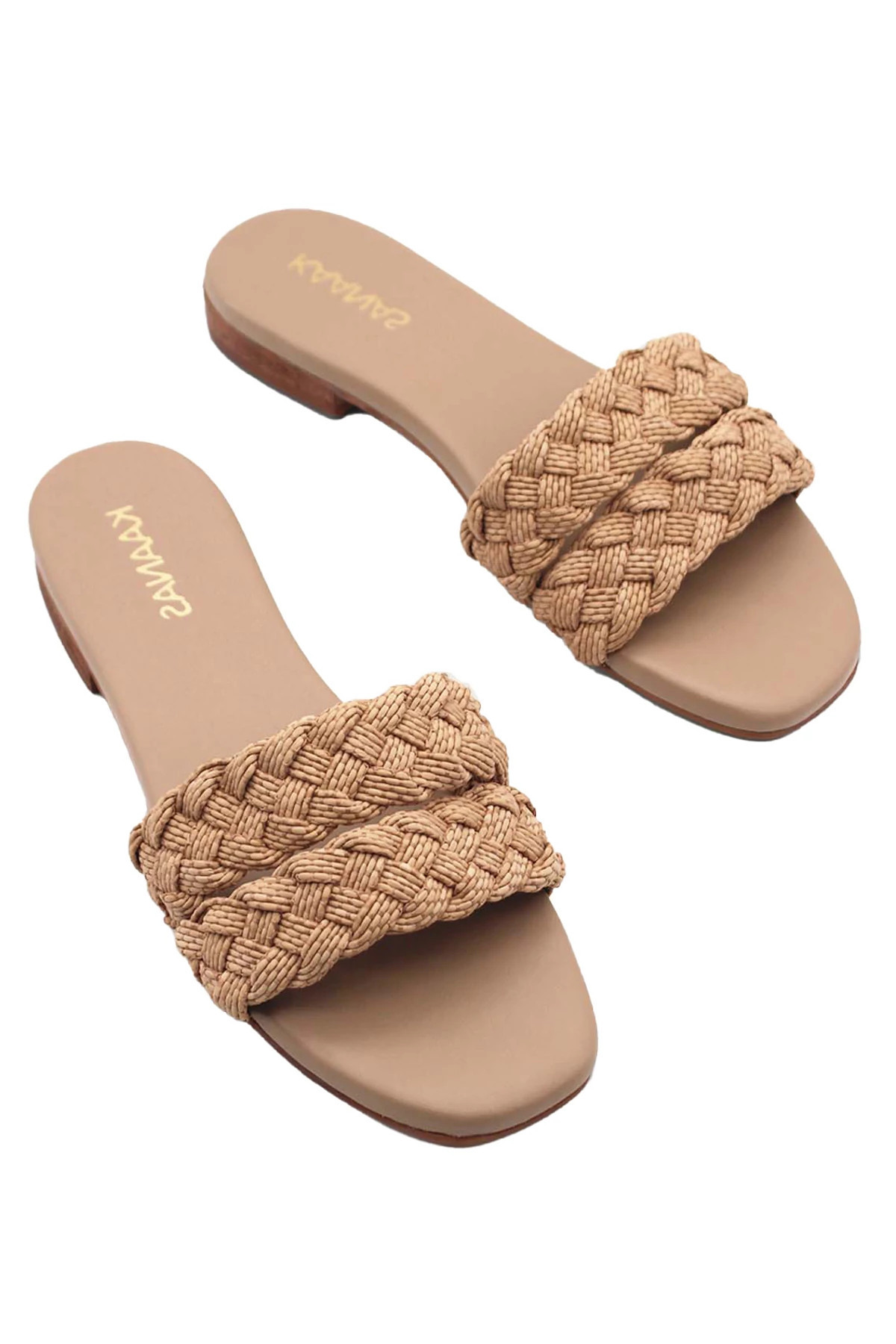 Papagayo Slide | Everything But Water