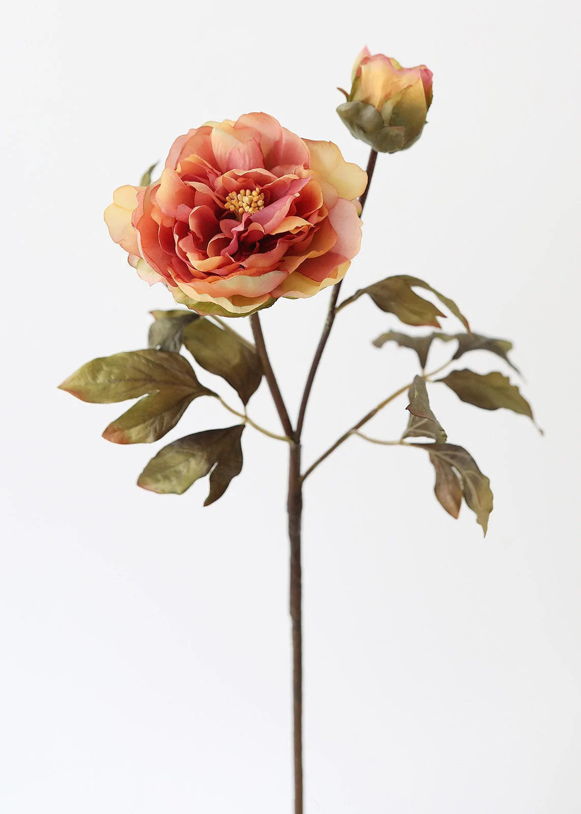 Peony Stem in Terracotta Orange | Shop Fake Fall Flowers | Afloral.com | Afloral