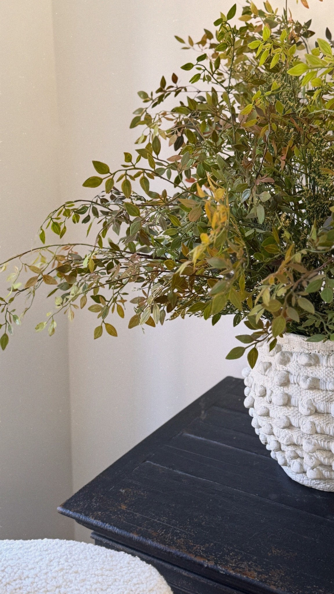 The most cost-effective year-round stems I have these in several rooms and find myself reaching for them over and over again.

#LTKSaleAlert #LTKHome