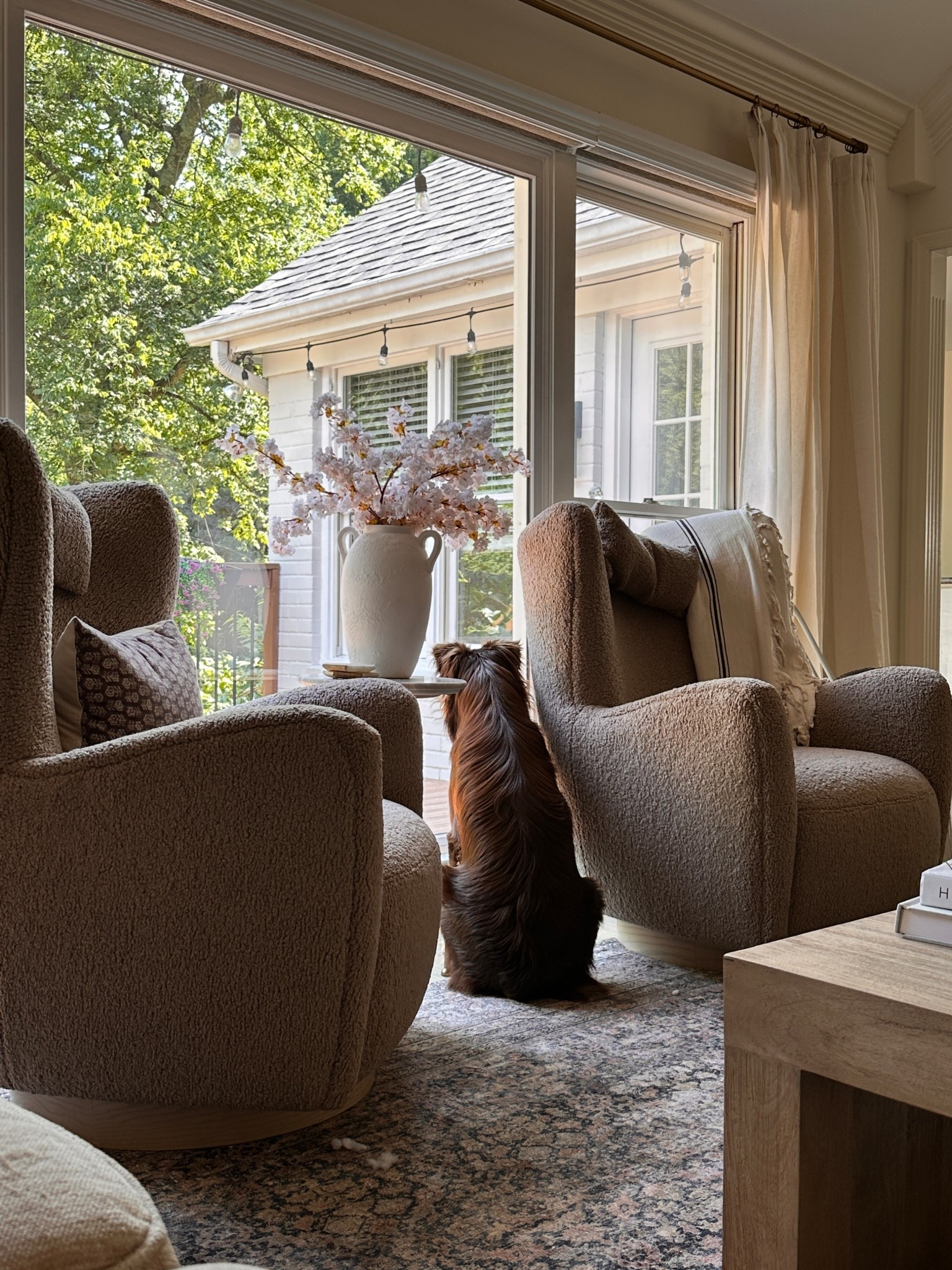 my favorite chairs are on sale right now🤍

#LTKHome #LTKSaleAlert