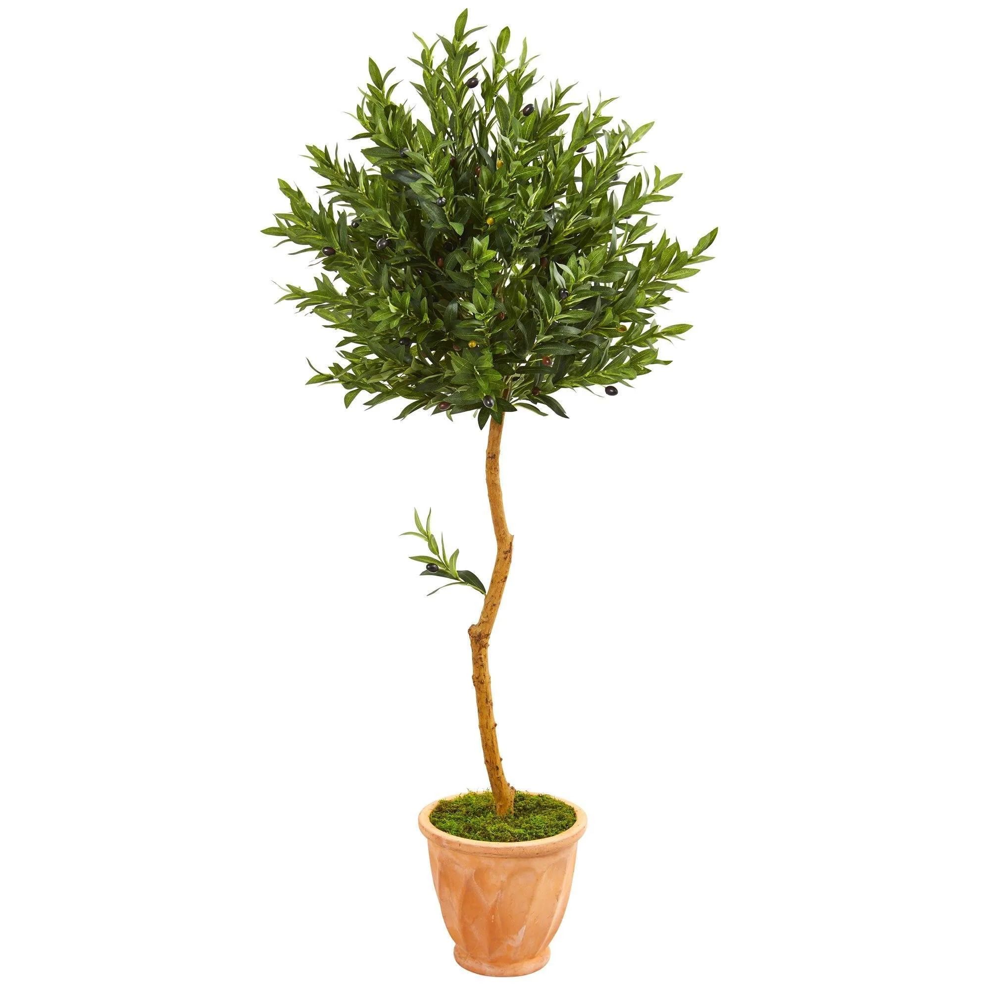 63” Olive Topiary Artificial Tree in Terra Cotta Planter (Indoor/Outdoor) | Nearly Natural