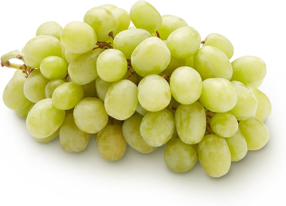 Brand: Produce | Amazon (US)