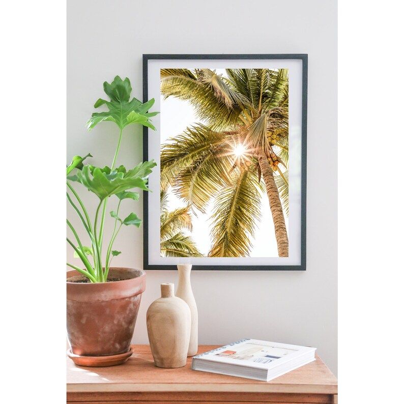 Palm Sunburst, San Jose Del Cabo Mexico Photography, Baja, Wall Art, Art Print, Travel Photo, Hom... | Etsy (CAD)