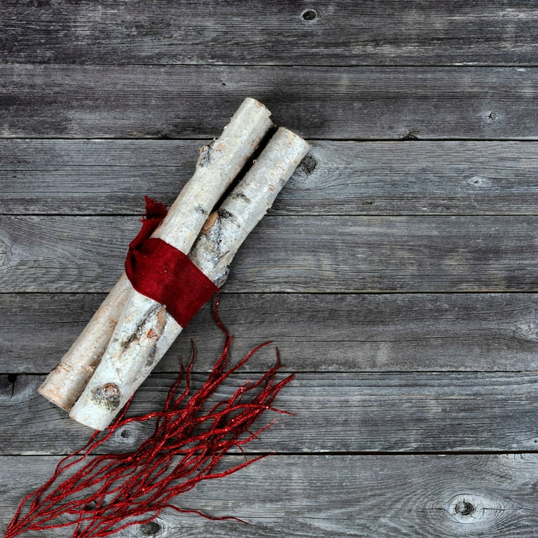 ProFlora Decorative Birch Logs 16" Pack of 3 | Walmart (US)