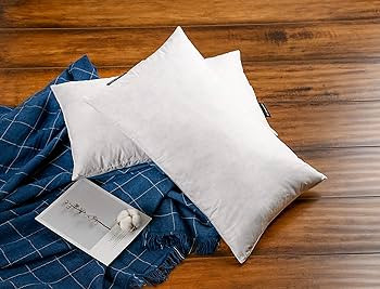JA COMFORTS 12×20 Premium Goose Down Feather Throw Pillow Inserts(Set of 2)-5% Down Filling,High... | Amazon (US)