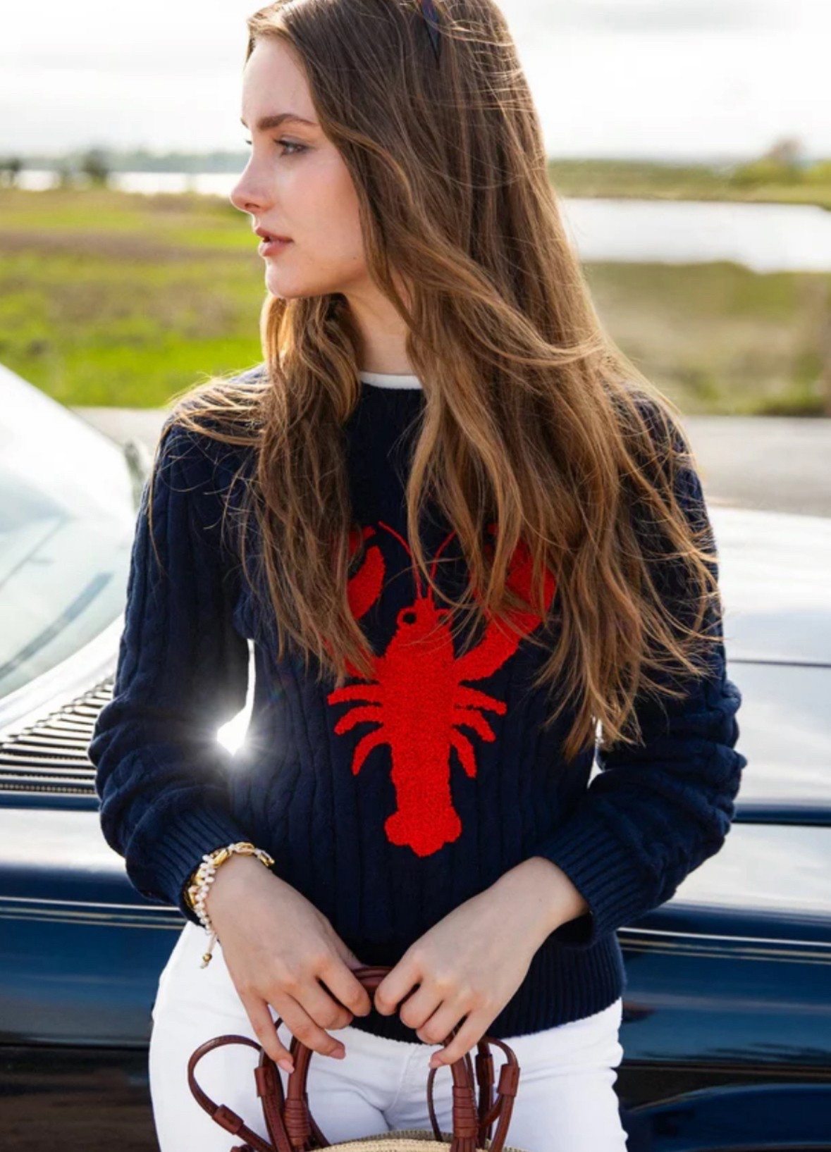 Lobster Sweater 

#LTKHome #LTKOver40 #LTKSeasonal