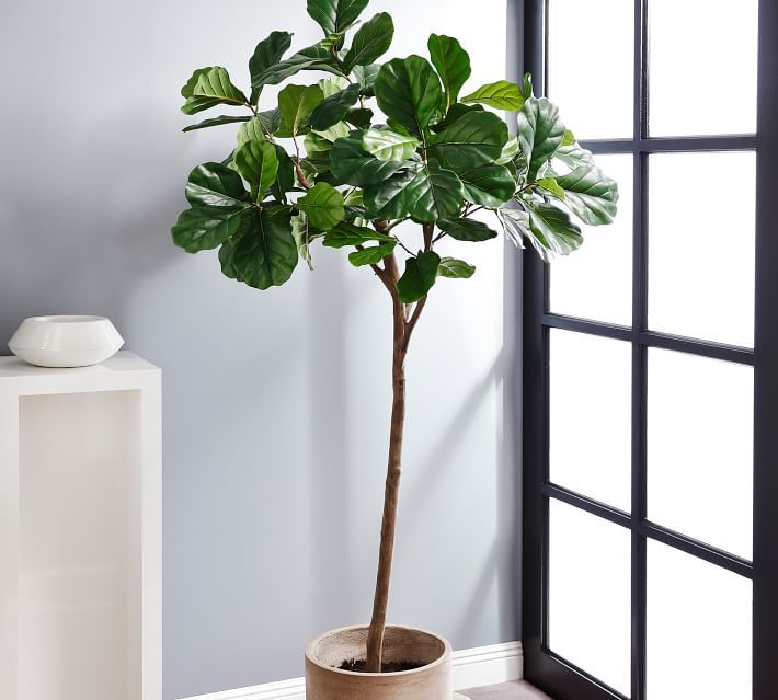 Faux Potted Fiddle Leaf Fig Tree - 7' | Pottery Barn (US)
