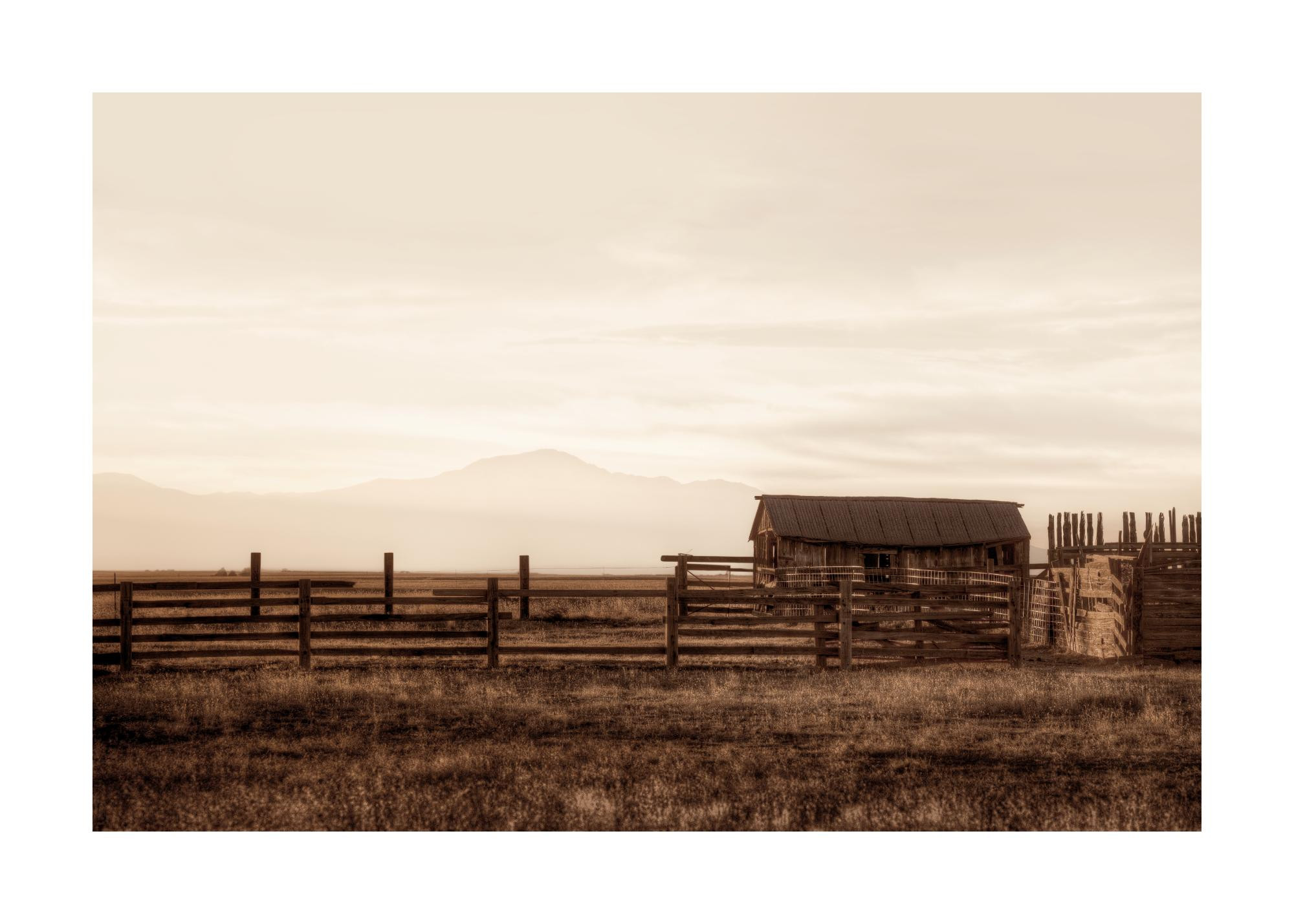 Old Barn Print | Desenio