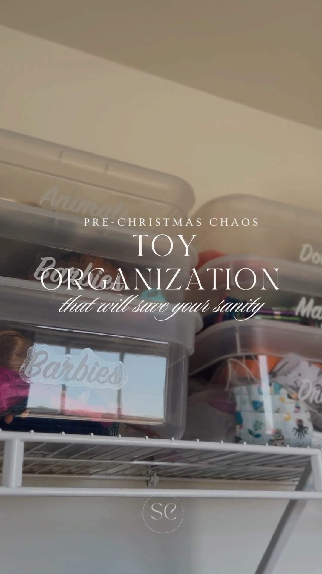 Toy Organization from TARGET

#organizing #toystorage #toyorganization #closetorganization #target 

#LTKKids #LTKHome #LTKHoliday