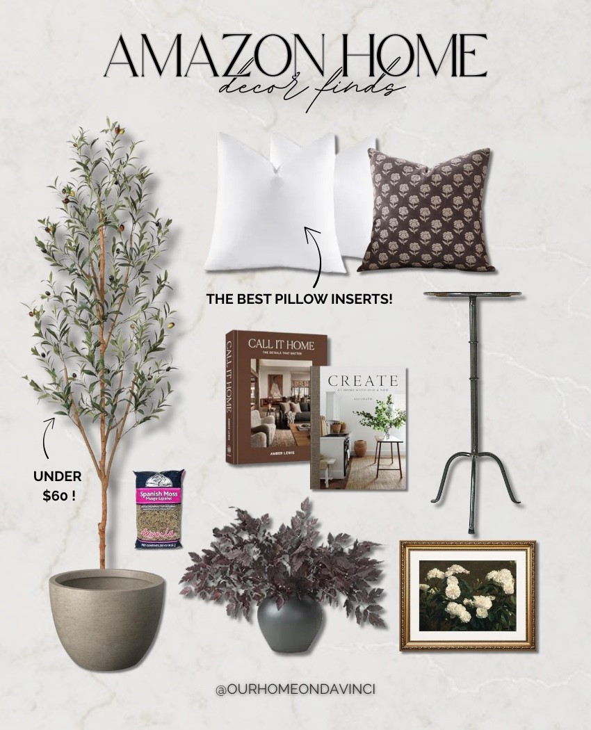 Amazon Home Decor 🪴

Amazon home decor, faux tree, olive tree, fall decor, coffee table books, pot for faux tree, pillow inserts, pillow covers, black small table, black end table, moss for planter

#LTKStyleTip #LTKHome #LTKFindsUnder50