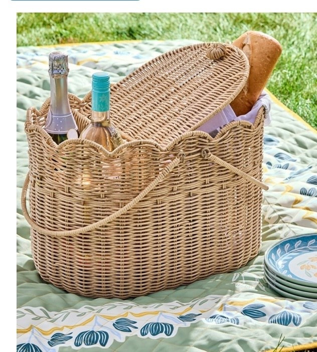 Must Have Outdoor Picnic Dining Essentialls

#LTKSeasonal #LTKHome #LTKSaleAlert