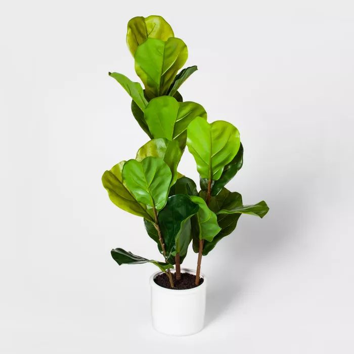 33" x 16" Fiddle Leaf Fig Plant in Pot White - Threshold™ | Target