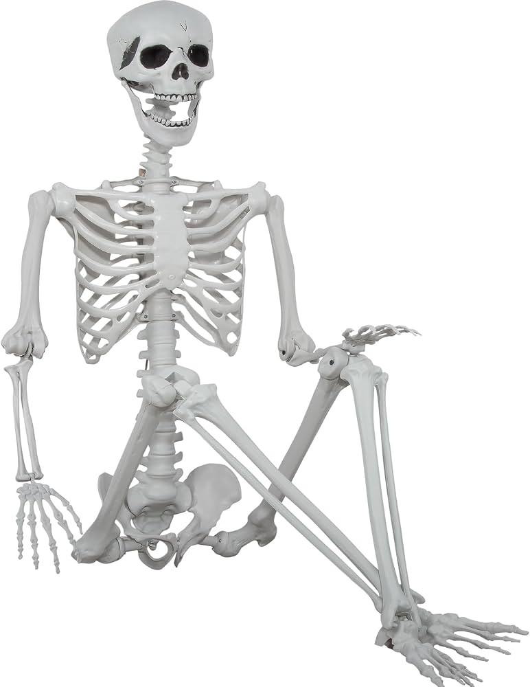 5.9ft Halloween Life Size Skeleton Realistic Full Body Skeletons Plastic Human Bones with Movable... | Amazon (US)