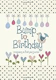 Bump to Birthday, Pregnancy & First Year Baby Journal : an award-winning journal / diary to help ... | Amazon (US)