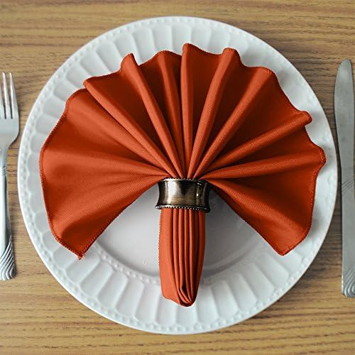 TableLinensforLess 17x17 Inch Polyester Cloth Napkins, Set of 6 (Burnt Orange) | Amazon (US)
