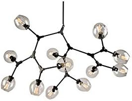 ArtCraft JA14022BK Organic - Twelve Light Chandelier, Black Finish with Clear Glass | Amazon (US)
